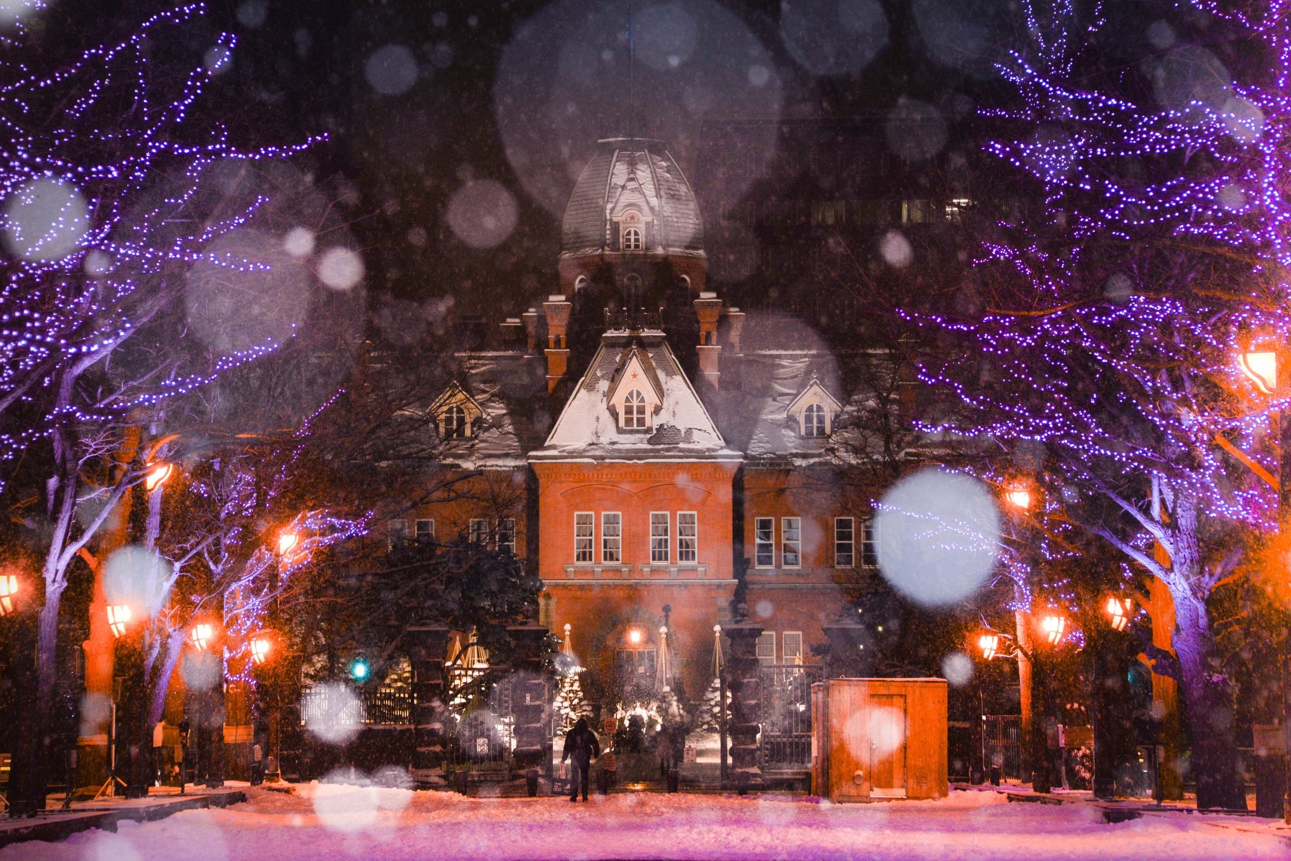 🏛️ 홋카이도청 구 본청사(홋카이도초 아카렌가초샤) 이미지 10